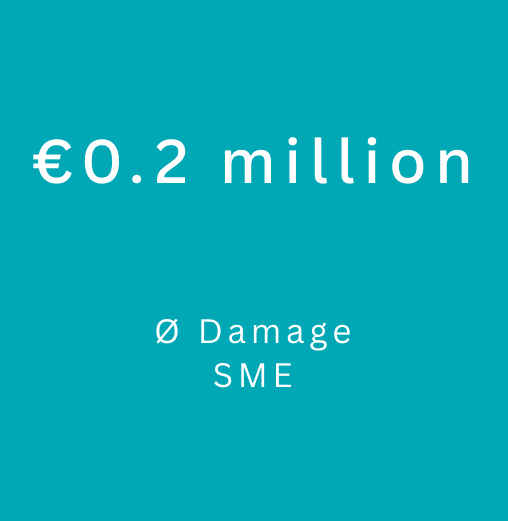 Damage SME